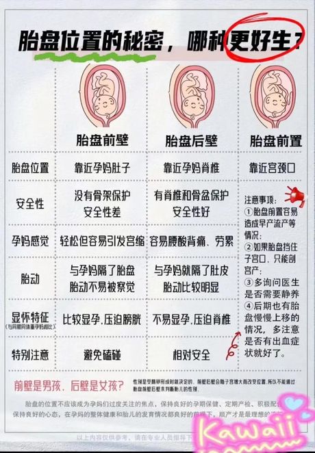 胎盘分级：胎儿健康的重要指标