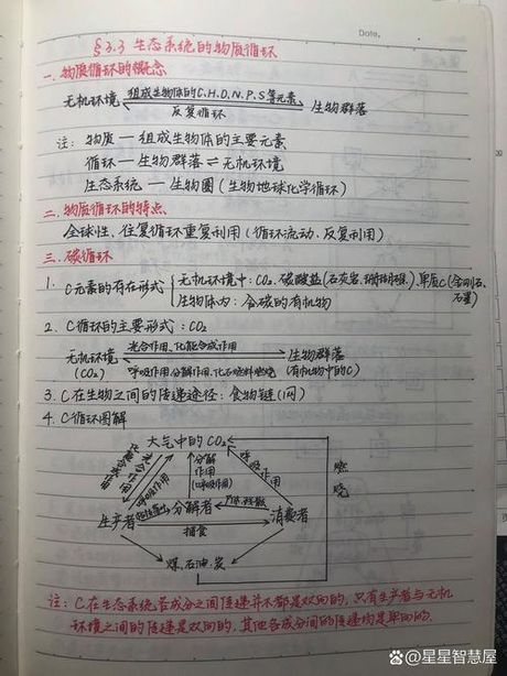 生态系统的物质循环，探究生态系统的物质循环，如何保护地球之家？