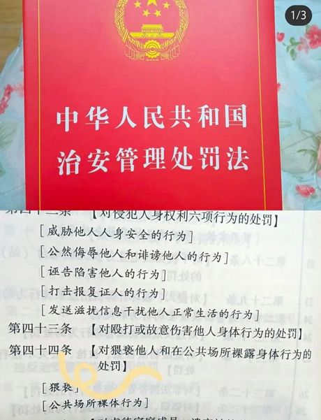 枪支管理法，枪支管理法正式实施，维护社会治安秩序