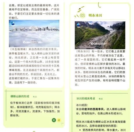 那琳之旅：探究云南稀有植物的生长之谜